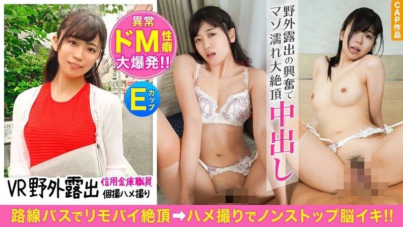 HVR-014 【VR】【线路巴士×远程搬运带来的极致快感】与高个子、身材苗条的信用社职员发生了关系！在大学时期，因为副教授的调戏，她隐藏的受虐倾向彻底爆发了！这个在户外暴露时就会变得极度兴奋的变态女人，最终疯狂达到了高潮！！