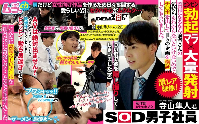 GRMO-231 SOD公司的男性员工，制作部的村崎AD，让寺山隼人君做出了“勃起”的表演并进行了大量的射精。如果想成为一名导演，就必须理解演员们的感受，所以让寺山隼人君展示了自己的“家伙”，以此来检验我们自己的策划是否合理。